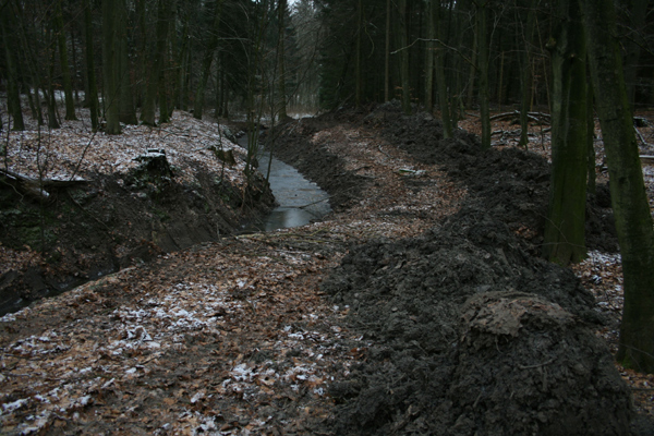 Eine fachgerechte Gewässerunterhaltung ist auch in den Wäldern erforderlich.