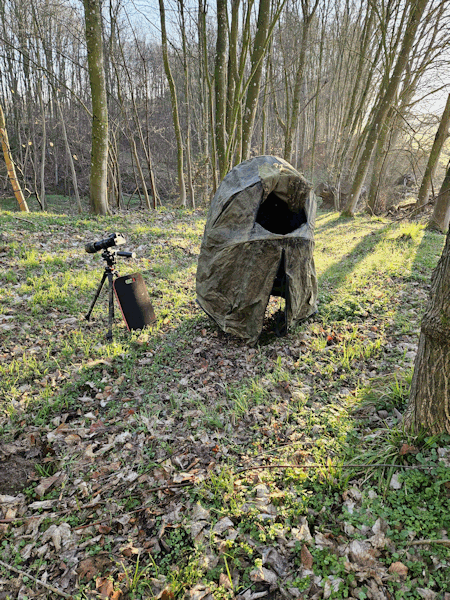 Interessenkreis Schwentine-Eisvogel.