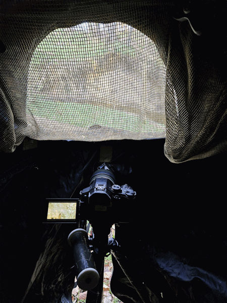 Interessenkreis Schwentine-Eisvogel.