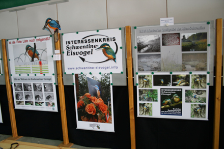 Auf der Ausstellung werden die unterschiedlichsten Habitate der Eisvögel gezeigt