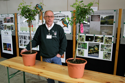 Wilfried Stender an seinem Stand auf der Landespflanzenbörse 2011 in Rendsburg