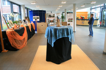Eisvogel Ausstellung in der Landwirtschaftskammer Schleswig-Holstein.