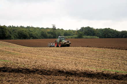 Landwirtschaft 2012, Feldbestellung für eine neue Saison.