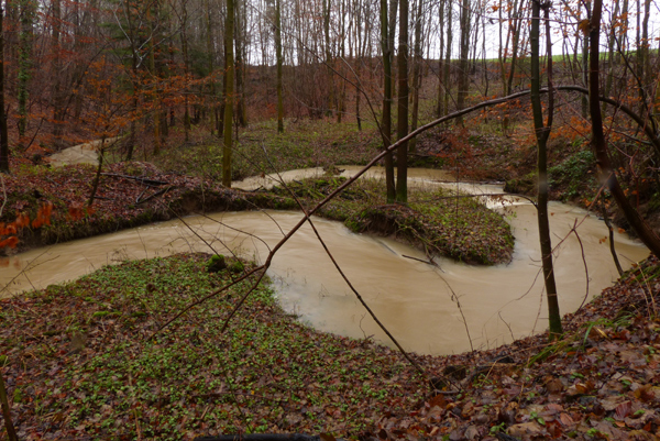 Starke Niederschläge (Regen) im Dezember 2014.