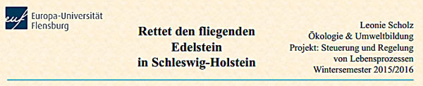 Rettet den fliegenden Edelstein in Schleswig-Holstein! Eine nicht alltägliche und zudem - erfreuliche Arbeit, von Leonie Scholz, Europa-Universität Flensburg.